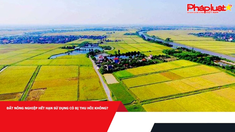 Đất nông nghiệp hết hạn sử dụng có bị thu hồi không?