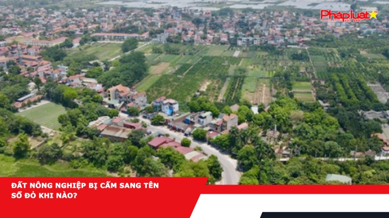 Đất nông nghiệp bị cấm sang tên sổ đỏ khi nào?