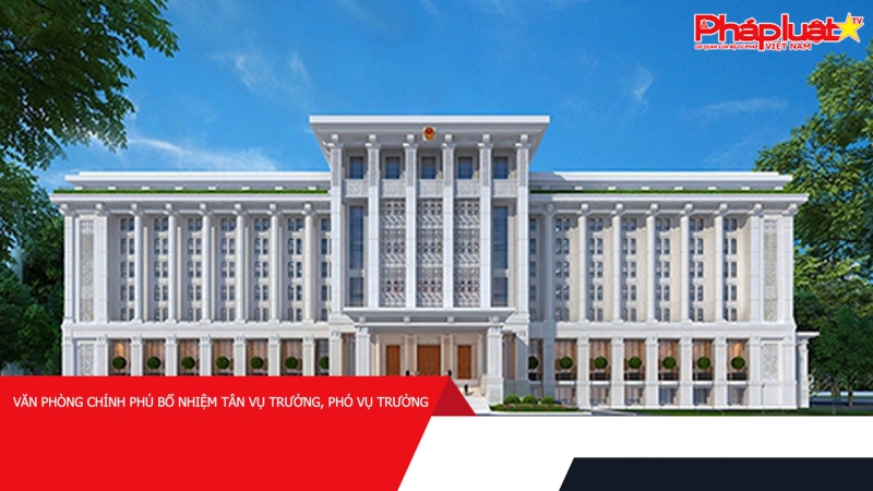 Văn phòng Chính phủ bổ nhiệm tân Vụ trưởng, Phó Vụ trưởng