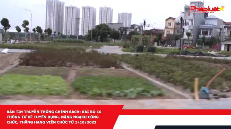 Bản tin Truyền thông Chính sách: Bãi bỏ 10 Thông tư về tuyển dụng, nâng ngạch công chức, thăng hạng viên chức từ 1/10/2023