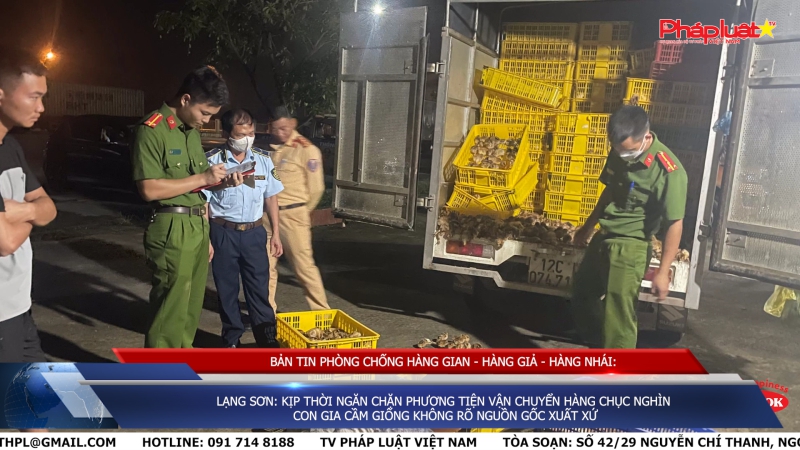 BẢN TIN CHUNG TAY CÙNG DOANH NGHIỆP PHÒNG CHỐNG HÀNG GIAN- HÀNG GIẢ- HÀNG NHÁI - Lạng Sơn: Kịp thời ngăn chặn phương tiện vận chuyển hàng chục nghìn con gia cầm giống không rõ nguồn gốc xuất xứ
