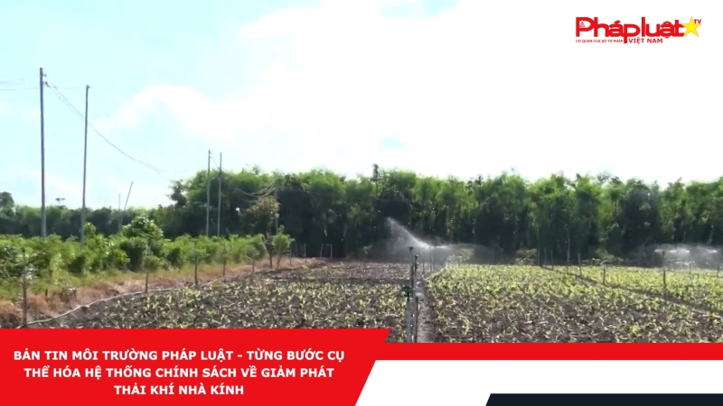 Bản tin Môi Trường Pháp luật - Từng bước cụ thể hóa hệ thống chính sách về giảm phát thải khí nhà kính