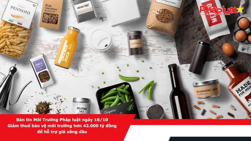 Bản tin Môi Trường Pháp luật ngày 16/10 - Giảm thuế bảo vệ môi trường hơn 42.000 tỷ đồng để hỗ trợ giá xăng dầu
