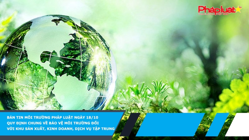 Bản tin Môi Trường Pháp luật ngày 18/10 - Quy định chung về bảo vệ môi trường đối với khu sản xuất, kinh doanh, dịch vụ tập trung