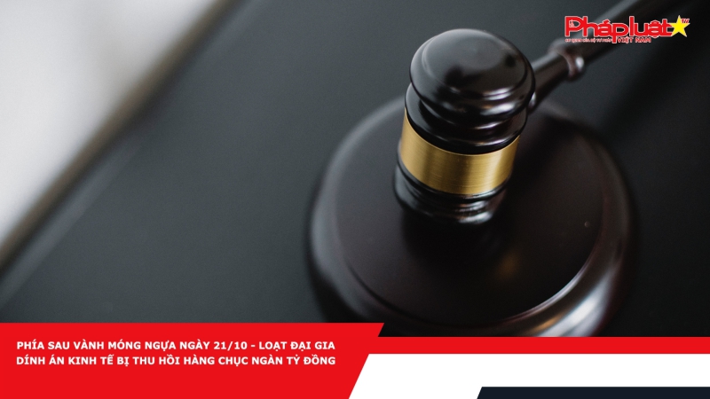 PHÍA SAU VÀNH MÓNG NGỰA NGÀY 21/10 - Loạt đại gia dính án kinh tế bị thu hồi hàng chục ngàn tỷ đồng