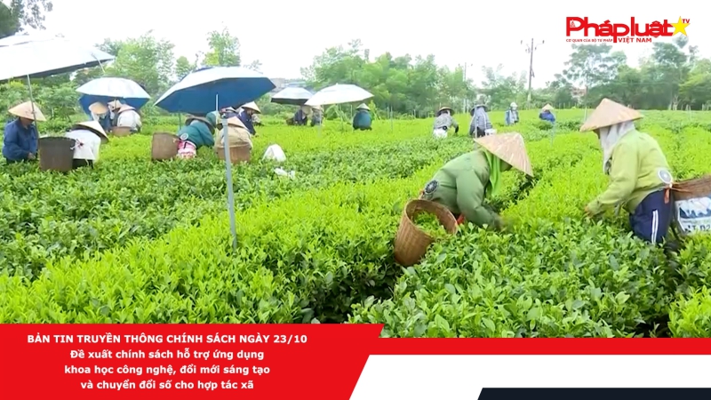 Bản tin Truyền thông Chính sách ngày 23/10 - Đề xuất chính sách hỗ trợ ứng dụng khoa học công nghệ, đổi mới sáng tạo và chuyển đổi số cho hợp tác xã