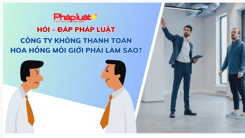 Hỏi đáp pháp luật: Công ty không thanh toán hoa hồng môi giới phải làm sao?