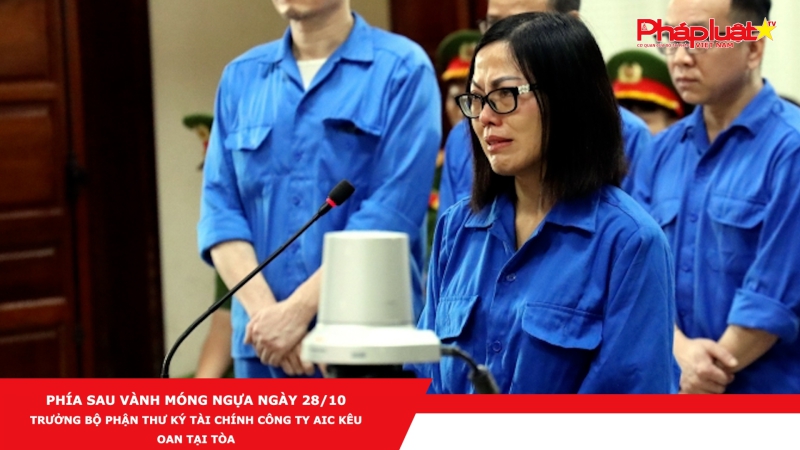 PHÍA SAU VÀNH MÓNG NGỰA NGÀY 28/10 - Trưởng bộ phận Thư ký tài chính Công ty AIC kêu oan tại tòa