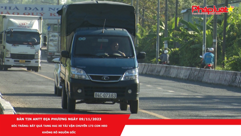 Bản tin ANTT địa phương ngày 09/11/2023 - Sóc Trăng: Bắt quả tang hai xe tải vận chuyển 173 con heo không rõ nguồn gốc