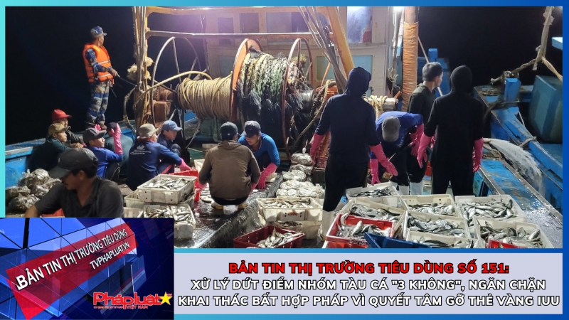 Bản tin Thị trường tiêu dùng số 151:Xử lý dứt điểm nhóm tàu cá 