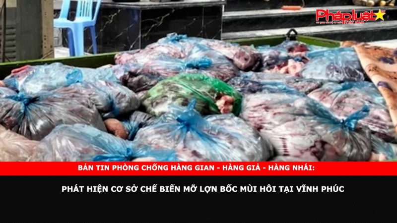 Bản tin chung tay cùng doanh nghiệp phòng chống Hàng gian- Hàng giả- Hàng nhái: Phát hiện cơ sở chế biến mỡ lợn bốc mùi hôi tại Vĩnh Phúc