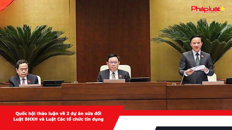 Quốc hội thảo luận về 2 dự án sửa đổi Luật BHXH và Luật Các tổ chức tín dụng