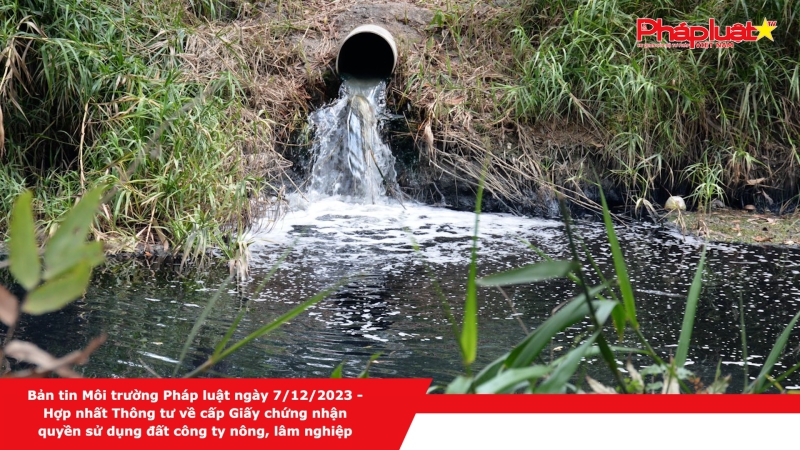 Bản tin Môi trường Pháp luật ngày 7/12/2023 - Hợp nhất Thông tư về cấp Giấy chứng nhận quyền sử dụng đất công ty nông, lâm nghiệp