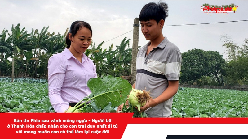 Bản tin Phía sau vành móng ngựa - Người bố ở Thanh Hóa chấp nhận cho con trai duy nhất đi tù với mong muốn con có thể làm lại cuộc đời