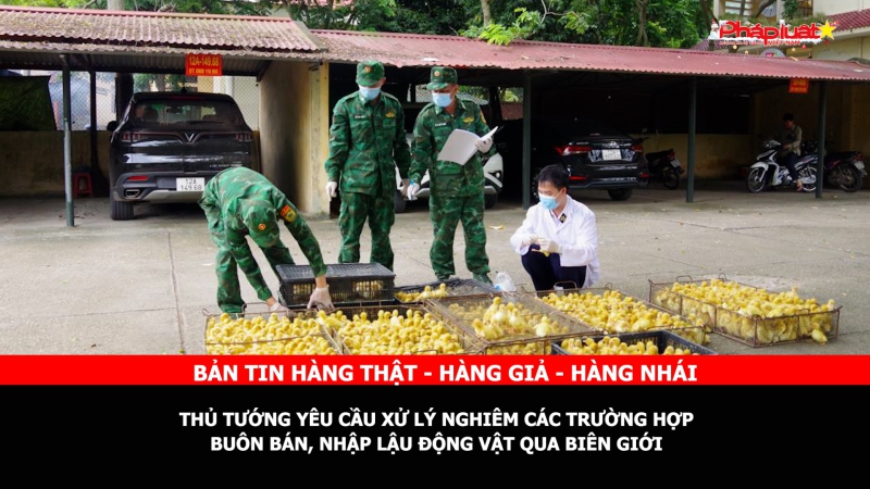 Bản tin chung tay cùng doanh nghiệp phòng chống Hàng gian- Hàng giả- Hàng nhái: Thủ tướng yêu cầu xử lý nghiêm các trường hợp buôn bán, nhập lậu động vật qua biên giới