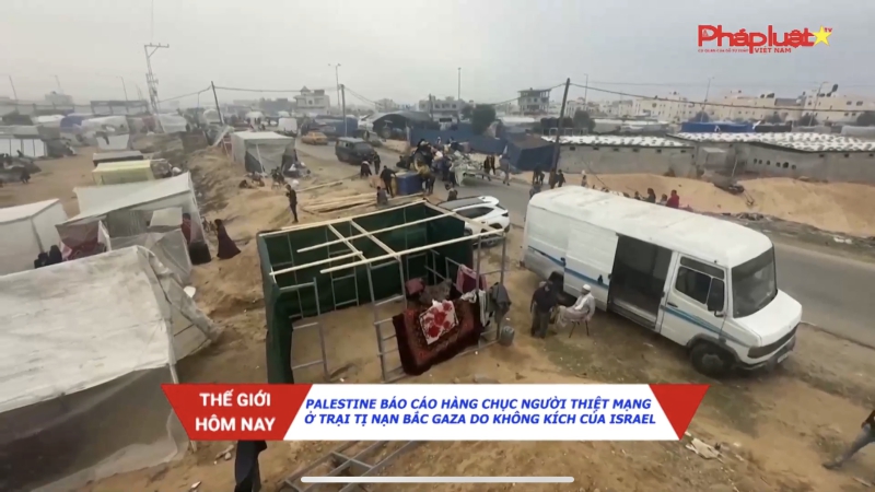 Bản tin thế giới hôm nay 12/12/2023