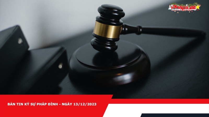Bản tin Ký sự pháp đình - Ngày 13/12/2023