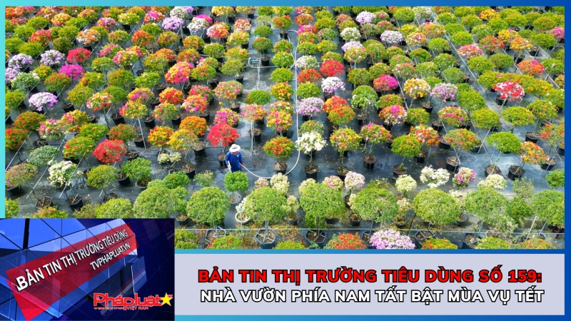 Bản tin Thị trường Tiêu dùng số 159: Nhà vườn phía Nam tất bật mùa vụ Tết