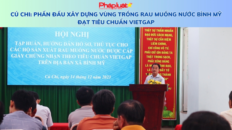 Củ Chi: Phấn đấu xây dựng vùng trồng rau muống nước Bình Mỹ đạt tiêu chuẩn VietGAP