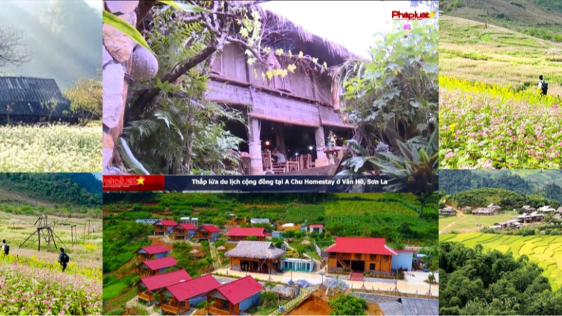Thắp lửa du lịch cộng đồng tại A Chu Homestay ở Vân Hồ, Sơn La