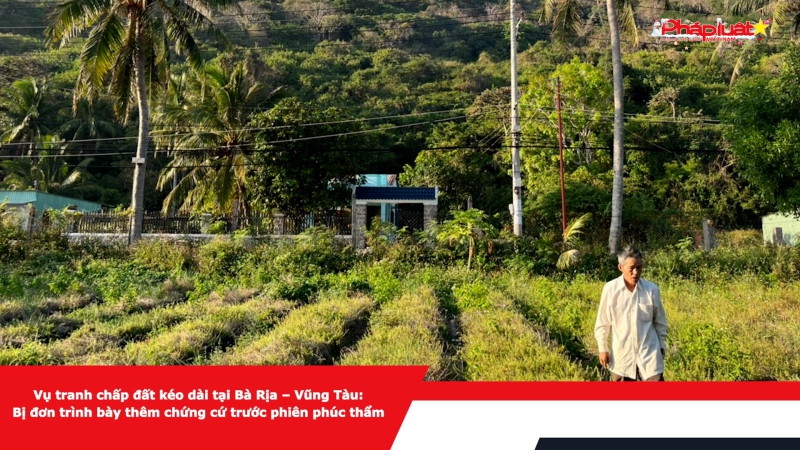 Vụ tranh chấp đất kéo dài tại Bà Rịa – Vũng Tàu: Bị đơn trình bày thêm chứng cứ trước phiên phúc thẩm
