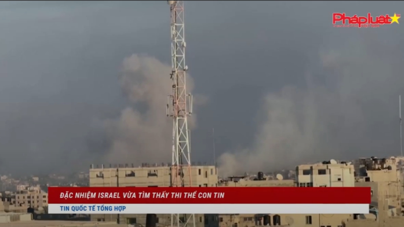 Bản tin Quốc tế 15/12/2023