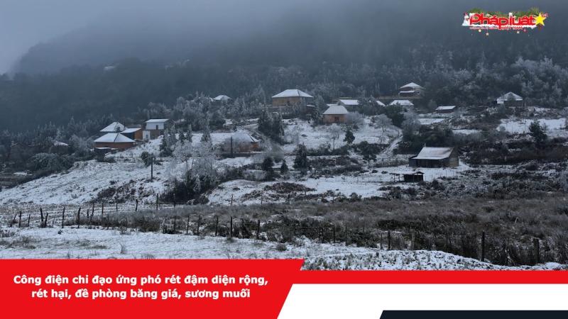 Công điện chỉ đạo ứng phó rét đậm diện rộng, rét hại, đề phòng băng giá, sương muối