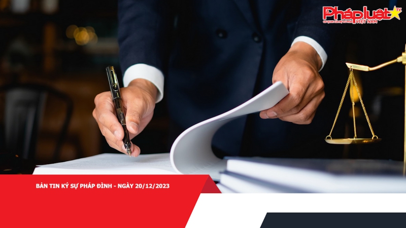 Bản tin Ký sự pháp đình - Ngày 20/12/2023