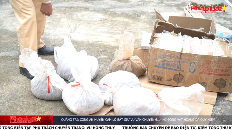 Quảng Trị: Công an huyện Cam Lộ bắt giữ vụ vận chuyển 61,4 kg động vật hoang dã quý hiếm