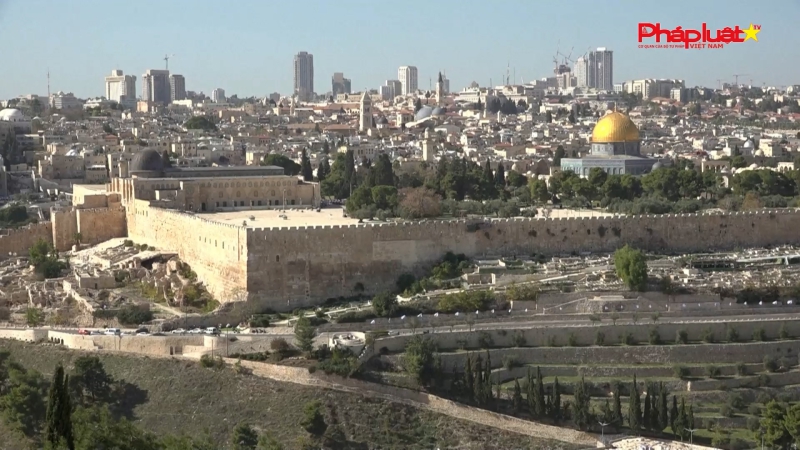 An ninh trật tự Thế giới 24H