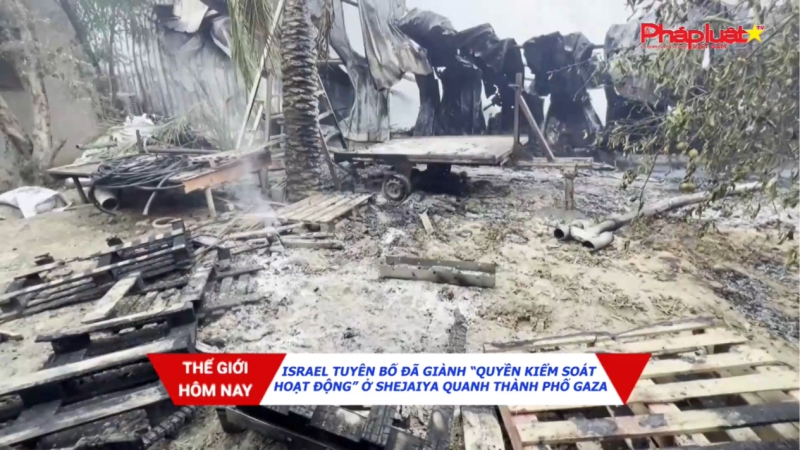 Bản tin Thế giới hôm nay 23/12