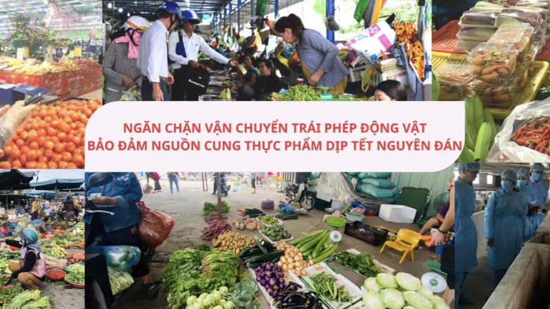 Bản tin An toàn thực phẩm ngày 25/12: Ngăn chặn vận chuyển trái phép động vật, bảo đảm nguồn cung thực phẩm dịp Tết Nguyên đán