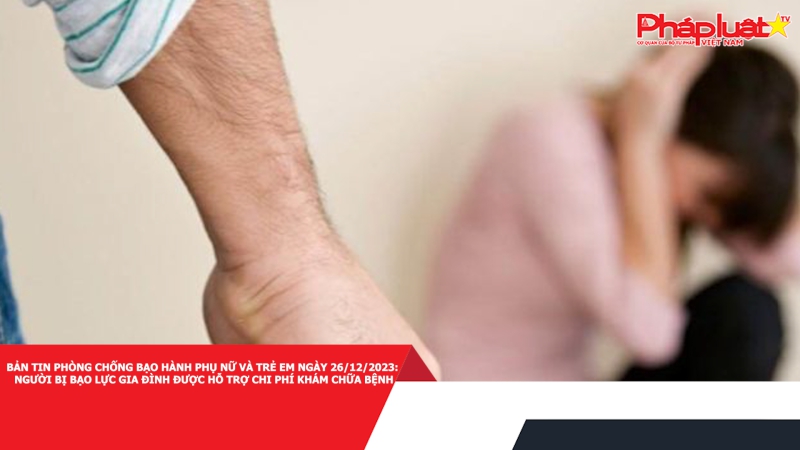 Bản tin Phòng chống Bạo hành Phụ nữ và Trẻ em ngày 26/12/2023: Người bị bạo lực gia đình được hỗ trợ chi phí khám chữa bệnh