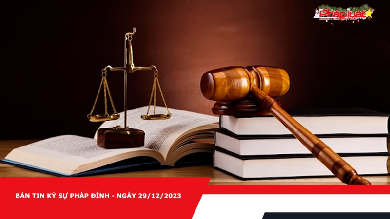 Bản tin Ký sự pháp đình - Ngày 29/12/2023