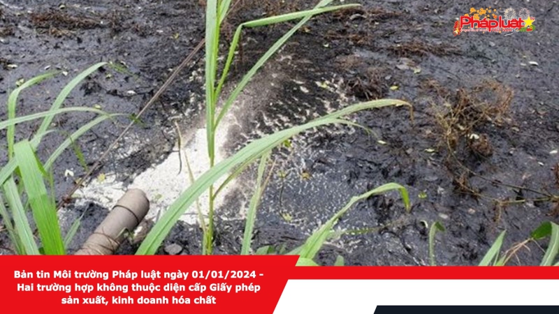 Bản tin Môi trường Pháp luật ngày 01/01/2024 - Hai trường hợp không thuộc diện cấp Giấy phép sản xuất, kinh doanh hóa chất