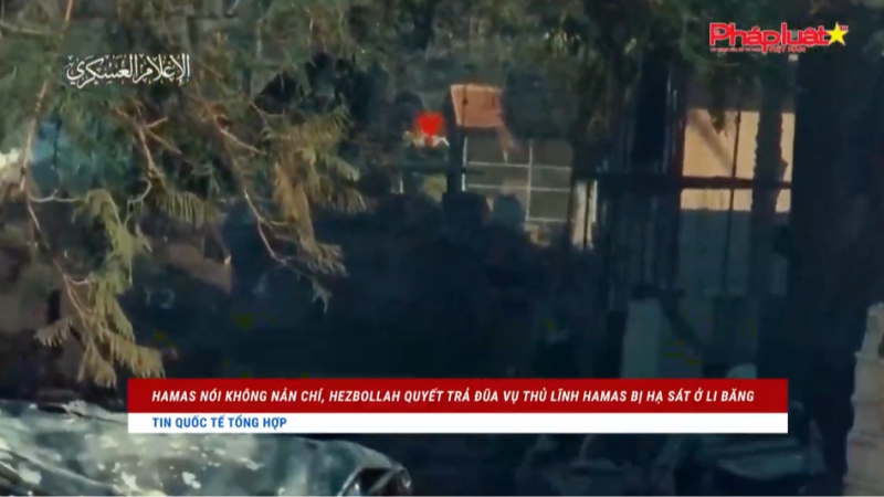 Bản tin Quốc tế 3/1/2024