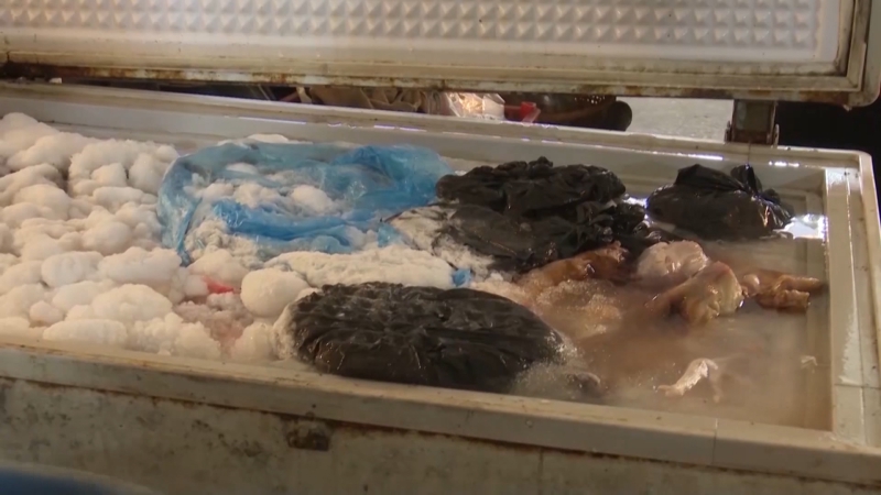 An toàn thực phẩm ngày 15/1: Quyết liệt xử lý vi phạm thực phẩm dịp cuối năm