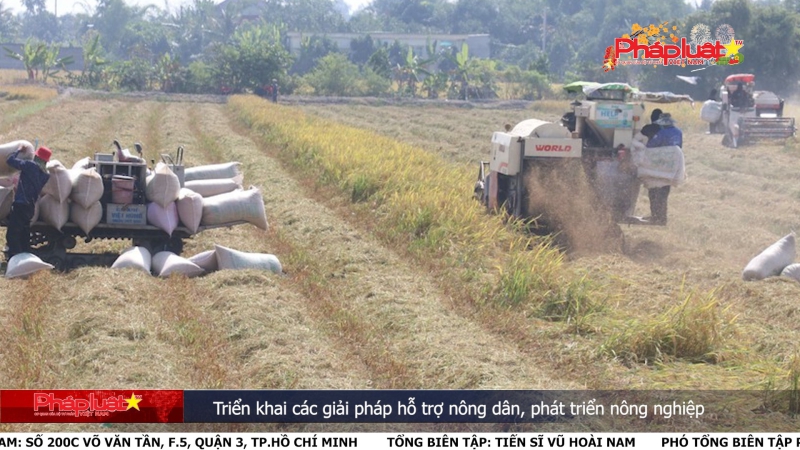 Bản tin Truyền thông Chính sách ngày 25/1/2024: Triển khai các giải pháp hỗ trợ nông dân, phát triển nông nghiệp