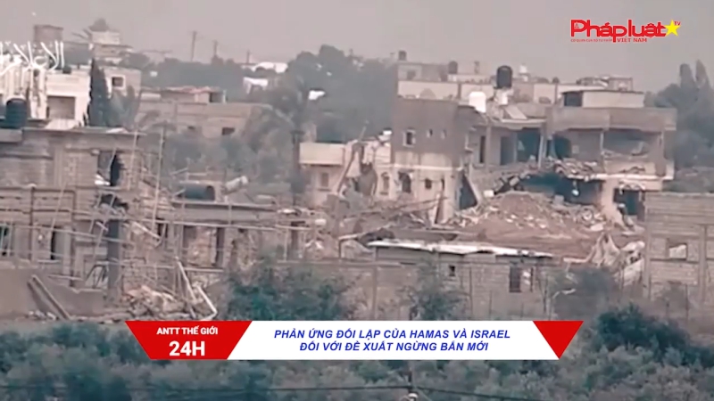 Bản tin an ninh trật tự thế giới 31/1/2024