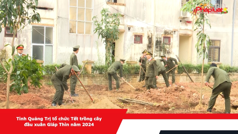 Tỉnh Quảng Trị tổ chức Tết trồng cây đầu xuân Giáp Thìn năm 2024