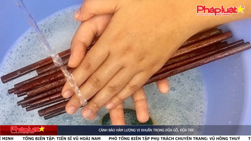 Bản tin cảnh giác ngày 20/02/2024