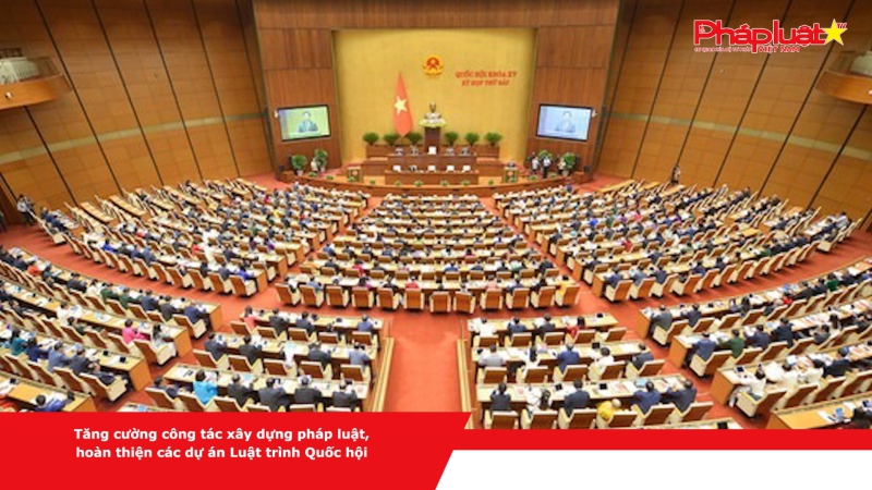 Tăng cường công tác xây dựng pháp luật, hoàn thiện các dự án Luật trình Quốc hội