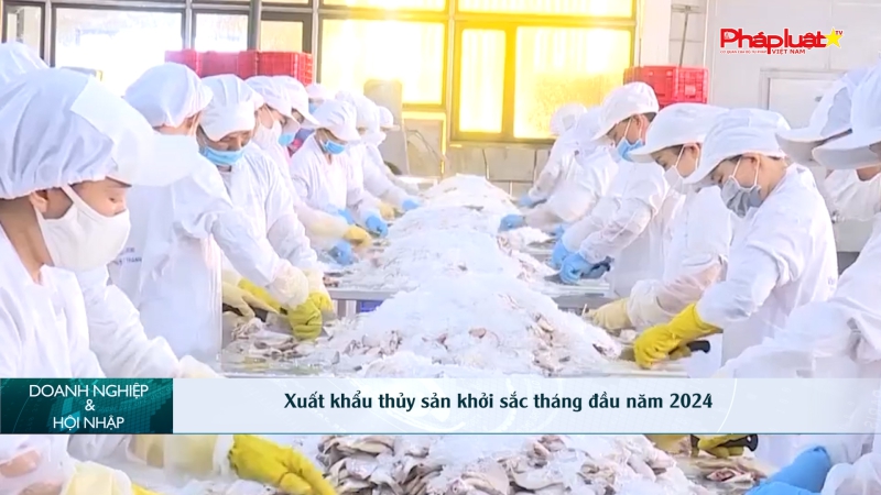 Bản tin Doanh nghiệp và Hội nhập - Xuất khẩu thủy sản khởi sắc tháng đầu