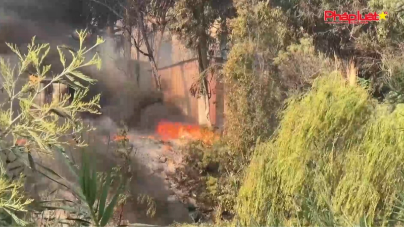 Bản tin Quốc tế 1/3/2024