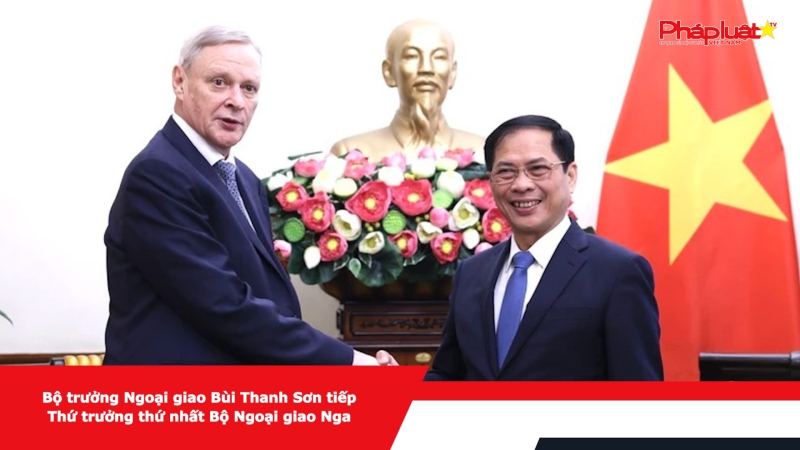 Bộ trưởng Ngoại giao Bùi Thanh Sơn tiếp Thứ trưởng thứ nhất Bộ Ngoại giao Nga