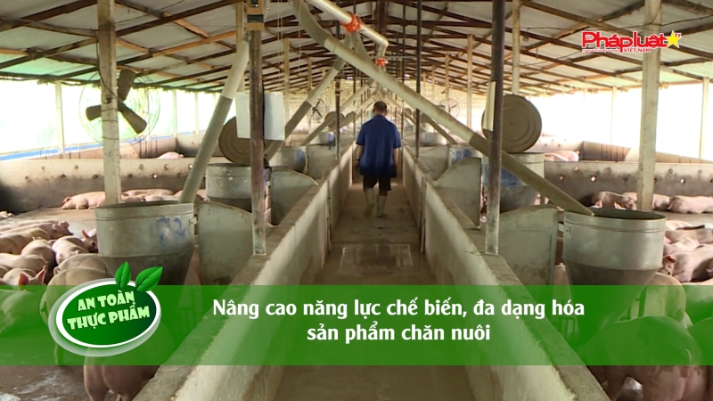 Bản tin An toàn Thực phẩm - Nâng cao năng lực chế biến, đa dạng hóa sản phẩm chăn nuôi