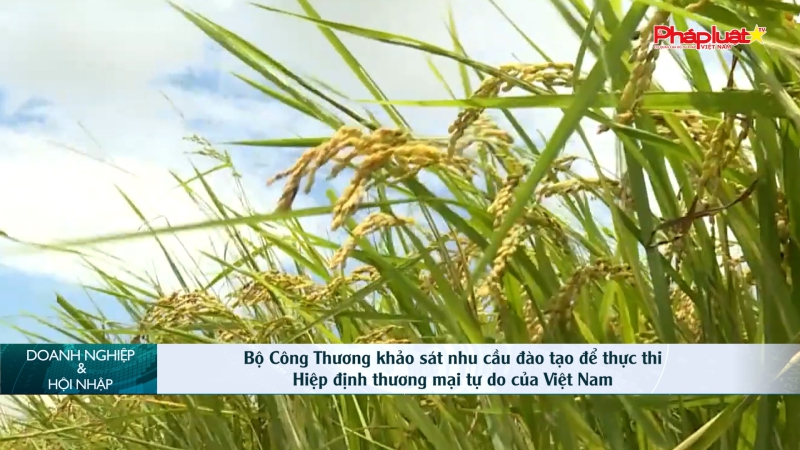 Bản tin Doanh nghiệp và Hội nhập: Bộ Công Thương khảo sát nhu cầu đào tạo để thực thi Hiệp định thương mại tự do của Việt Nam