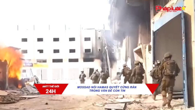 An ninh trật tự 24h