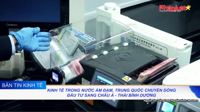 Bản tin kinh tế 11/3/2024