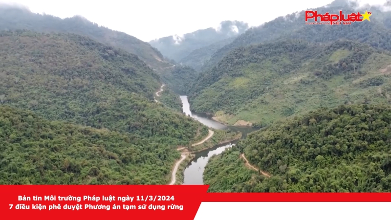 Bản tin Môi trường Pháp luật ngày 11/3/2024 - 7 điều kiện phê duyệt Phương án tạm sử dụng rừng